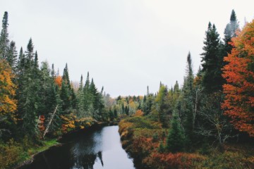 Peaceful fall river scene
